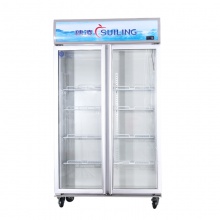 穗凌（SUILING）LG4-882M2 商用冷柜立式双门冷藏展示饮料柜超市单温直冷柜