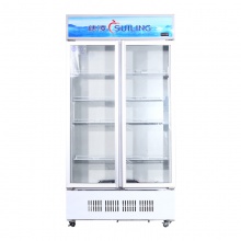 穗凌（SUILING）LG4-900M2/W 无霜风冷铜管豪华双门饮料展示柜单温冷藏保鲜冰柜