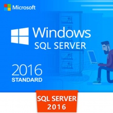 微软 WinSvr 2016 服务器软件标准版（Win2016中文标准版5用户（政府行业）开放式许可电子授权不含光盘）