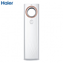 海尔（Haier）3匹 天尊 二级能效 立式柜机 静音节能自清洁冷暖柜式智能变频空调 2匹/SKFR-50LW/17WYA22AU1